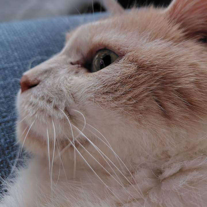 6d655b51 f6a1 4988 af32 7c3e9b172d9e 1727497883585