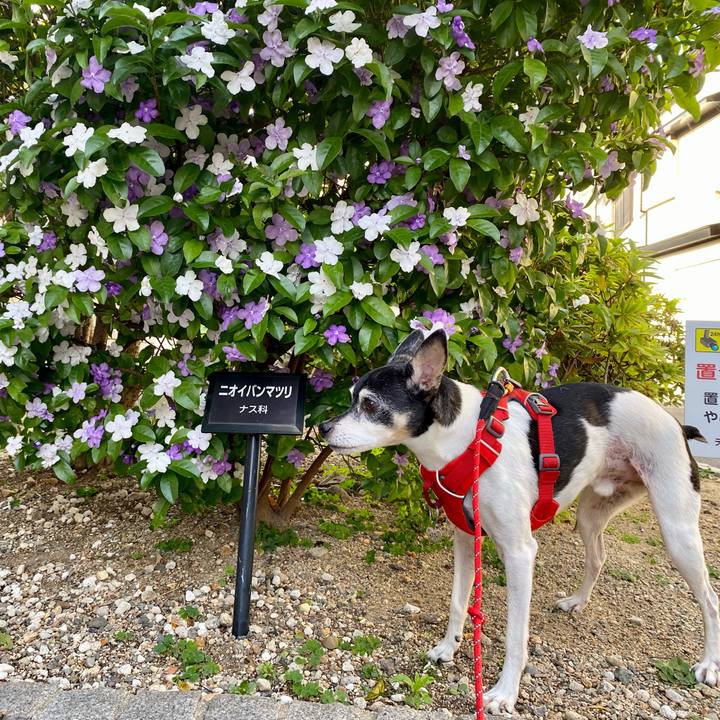 6d65df6d b792 4b06 bf25 4d45f67ccdfe 1620562091743