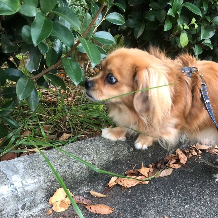 6d6610ed dd1b 47a9 99c0 fa945aff547f 1539811866636