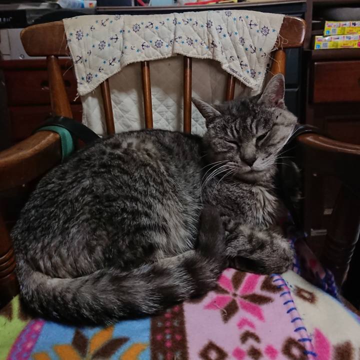 6d6634fb 02b8 466a a49c 072faa0a6afe 1576995370795