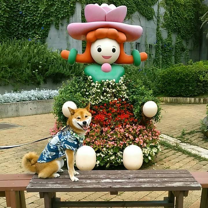 6d663ad5 892b 4981 bd19 3e4b32a4ae8e 1561879672498