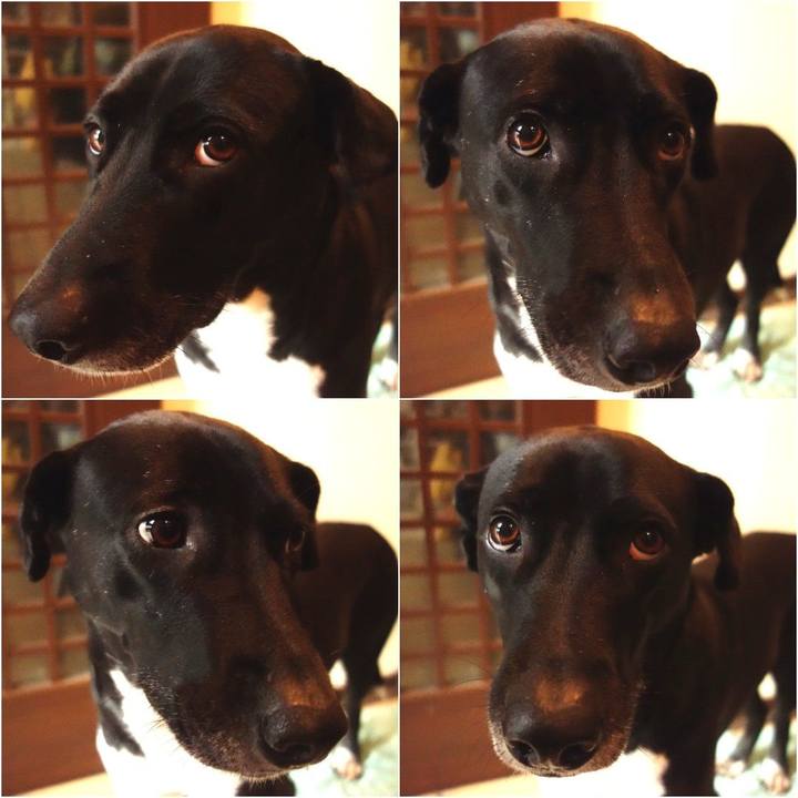 6d669b6d 1bd6 4e6f acc2 e7e701bfd9e9 1611705398032