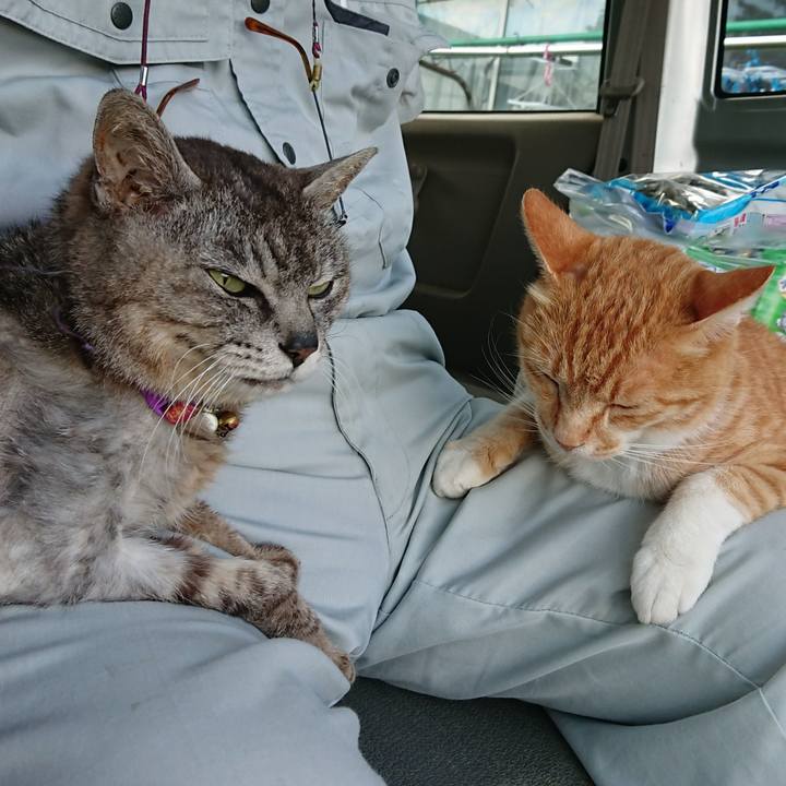 6d66a1ae bbed 4d12 a3fe 045f041d21c6 1593682194944