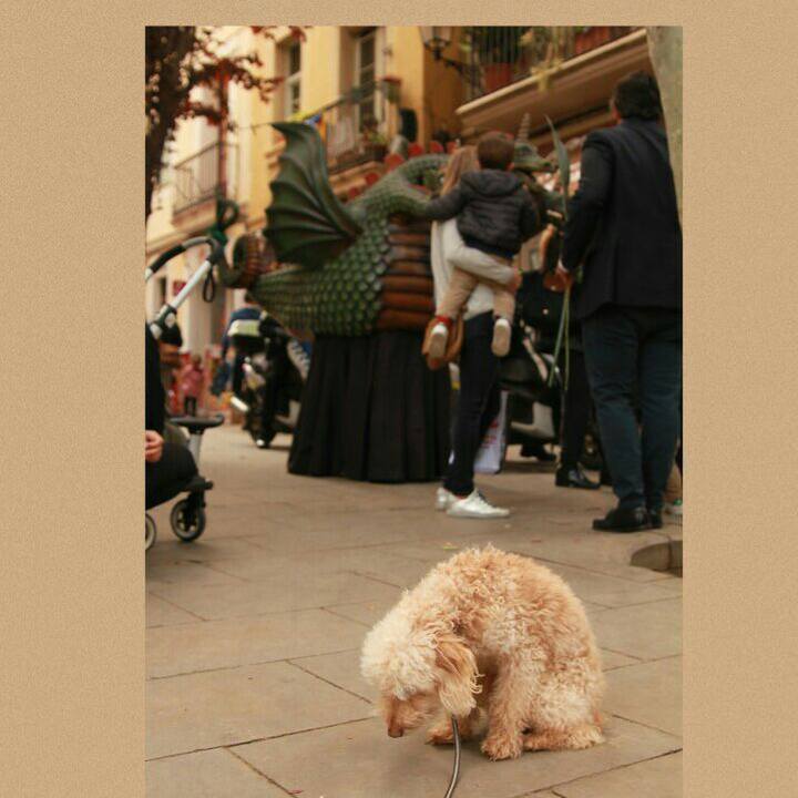 6d66c069 a3eb 4cb7 b9df 1372ffeb835e 1556054275321