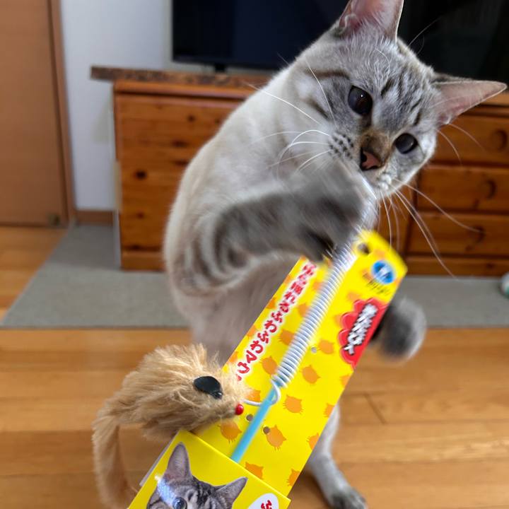 6d6710f4 15d5 4e27 93a8 d1f8a11f339f 1764138378257