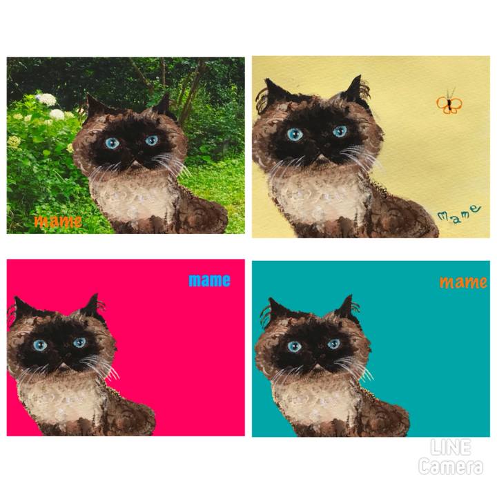 6d671122 8672 4113 8aa1 2c431e24b46b 1626968888936