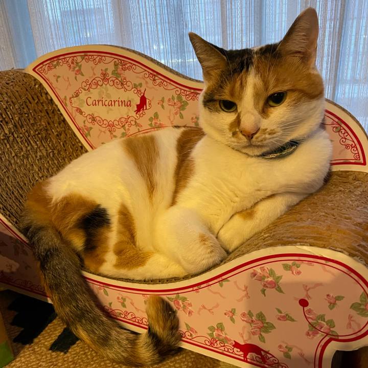 6d672a76 a02c 449a 813f 3aa6760c6e2c 1724333486085