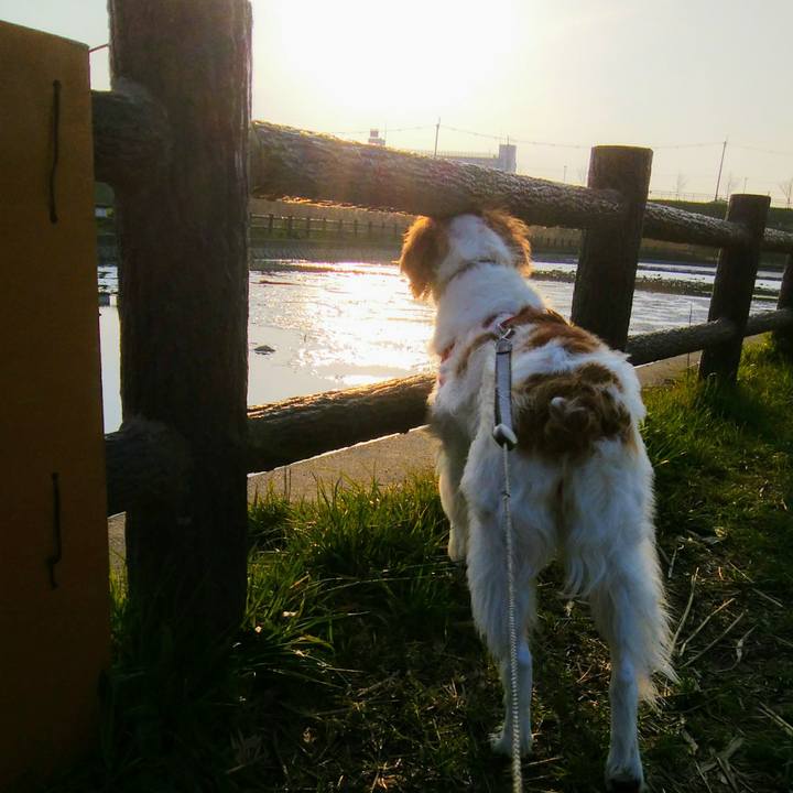 6d678eaf 28b6 4806 9c20 94ccc823f33c 1552391635273