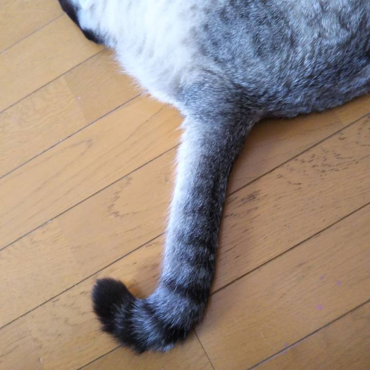 6d67aa80 5dc3 4342 8086 beb825694fc4 1537846041230