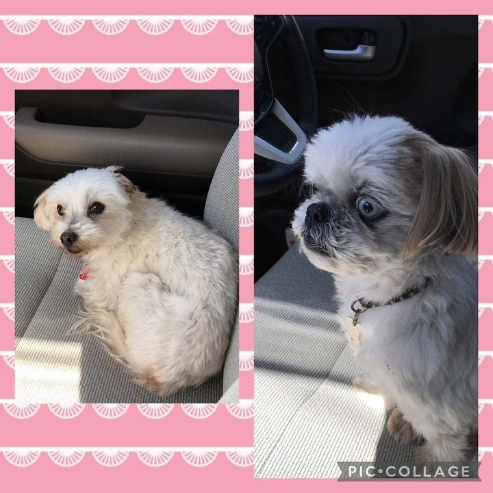 6d67e371 3cad 4e75 ad25 f39f631cd545 1614398479566