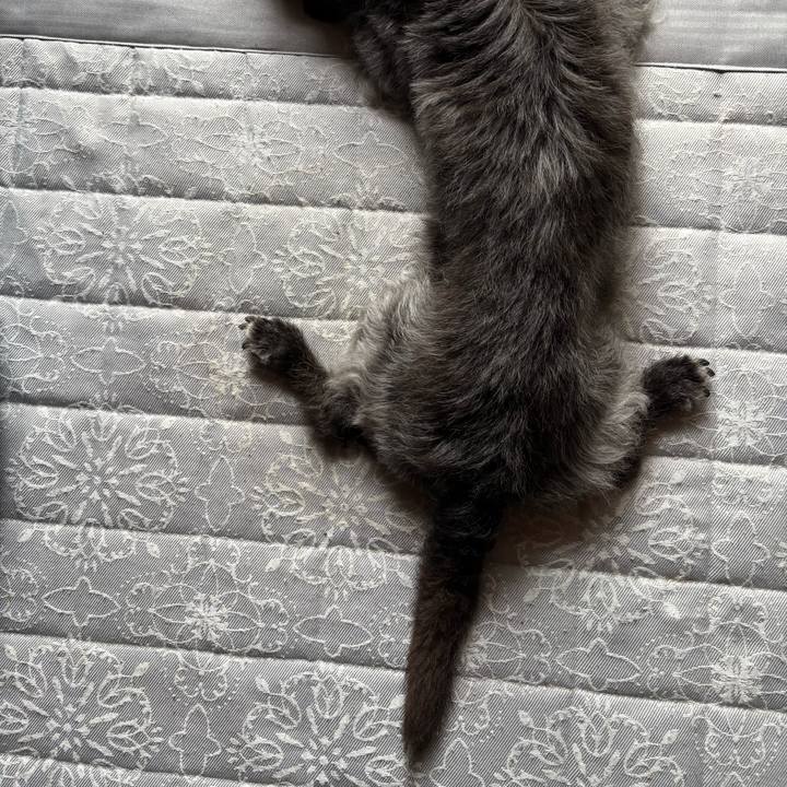 6d67f769 8b47 4fd0 88f6 43c8598a7f2d 1752016539464