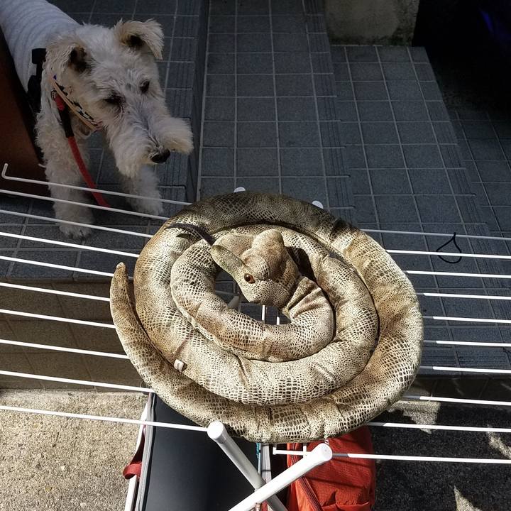 6d68022d 1891 467f a27d 32158ac311ca 1600661436648