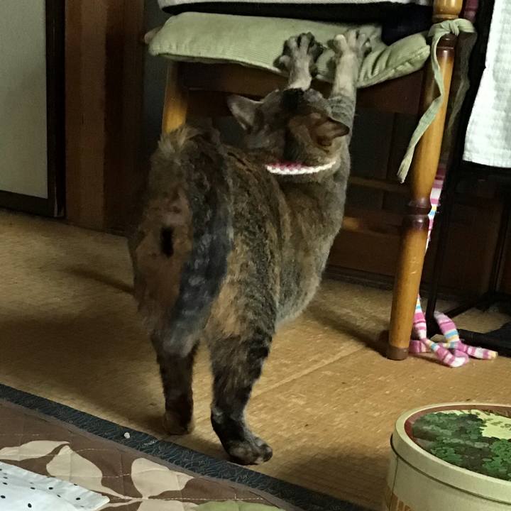 6d682d34 0726 4a63 b91b 6dab2f48f36c 1651200622590