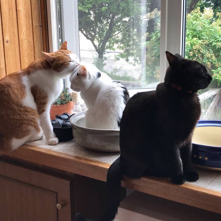 6d683a27 52c0 4f9c ab57 ef3607c7f359 1595472714382