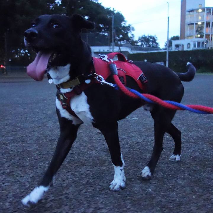 6d684c54 c6e3 40d7 ab6f 710050cd45cc 1599301480461