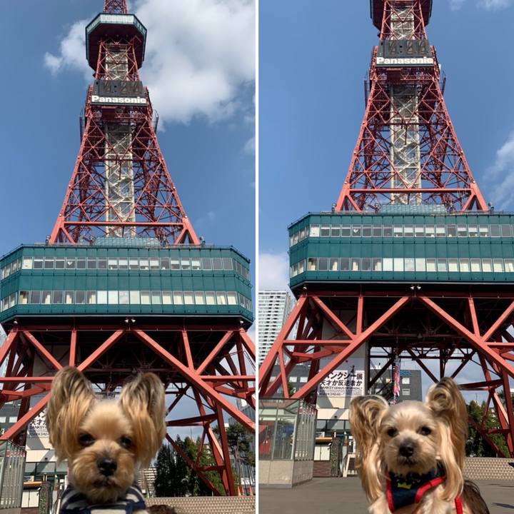 6d687a7e 4769 4531 b21e 64b56123adad 1650705623925