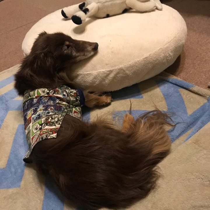 6d688ef2 209b 44c0 92a8 69fc820d8122 1580722699223