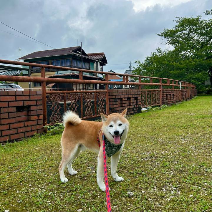 6d68eb87 b5d8 4dc8 8102 25dfcb66c384 1721125161851