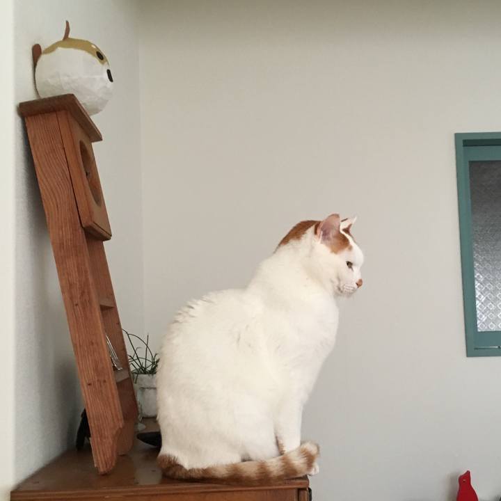 6d692723 1771 4655 9aef c337fbc8cbc5 1517702500044