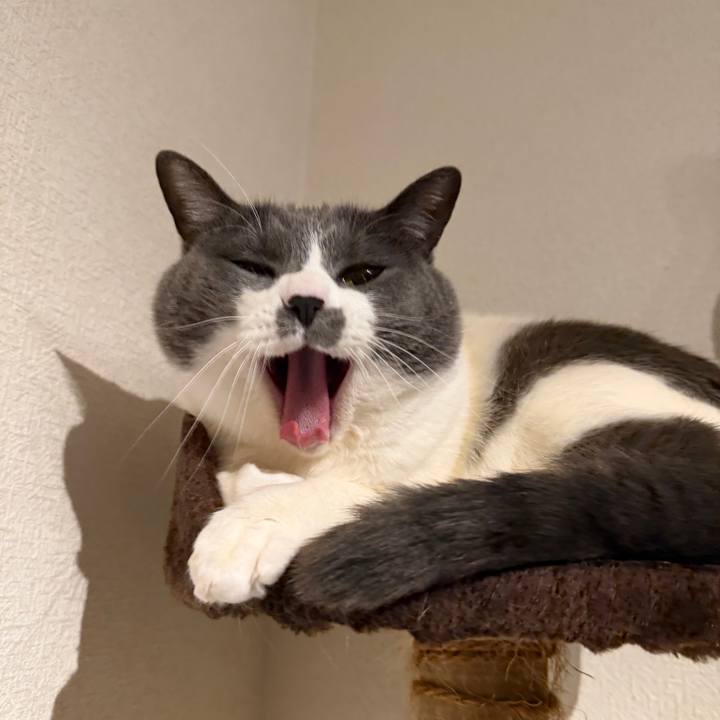 6d697723 d627 443a ae60 173f41097292 1769105924272