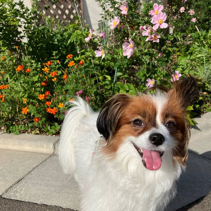 6d698791 651b 4fff 8e0e ff1e81a5d8d6 1758421497485