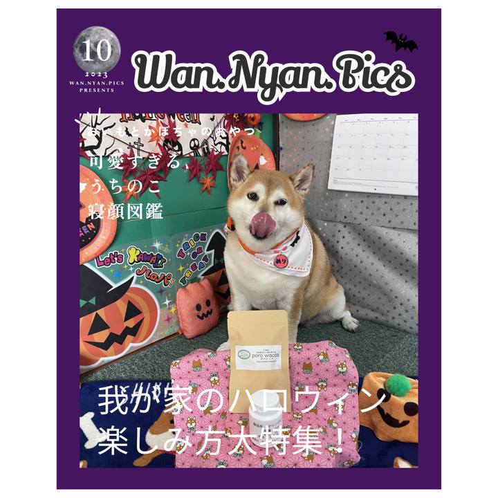 6d698f3a 727c 4ebc 8959 e6641ee52ca2 1697755433720