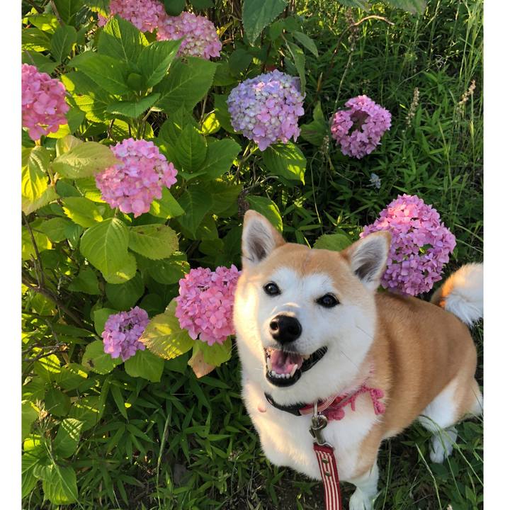 6d6a141d 9f55 49e1 9726 2f82032b72c0 1622501441026