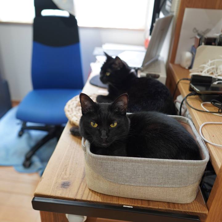 6d6a3c4f 5e8f 4fa2 8b39 6611526b3d11 1589550667932