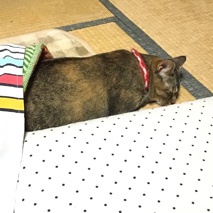 6d6a99c4 185a 41af 9e9e 097188787fd1 1608714028841