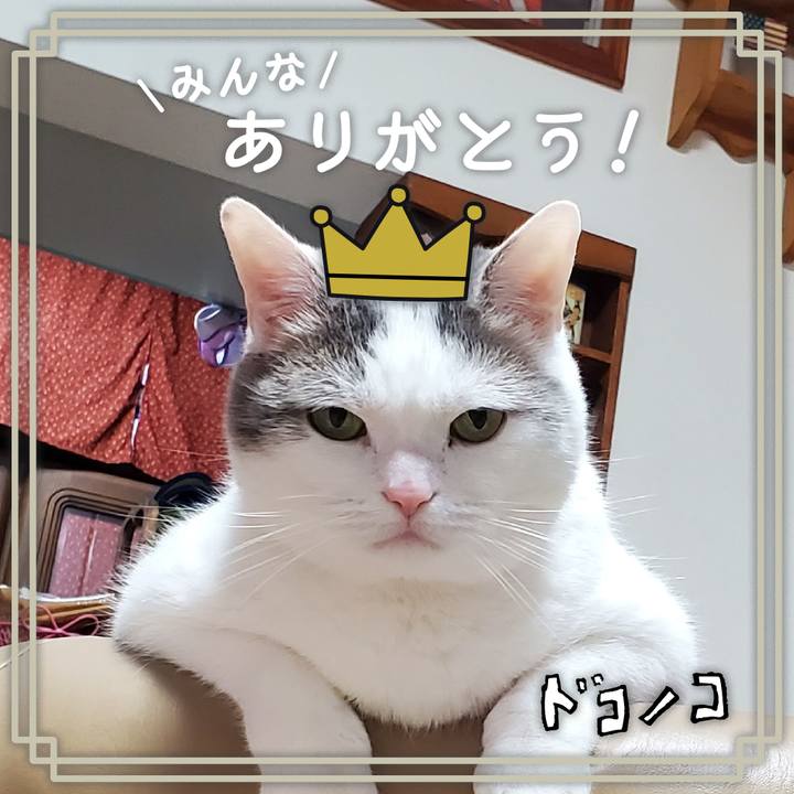 6d6a9eb3 bba2 429f b9c3 fefa42d9f12d 1622881405553