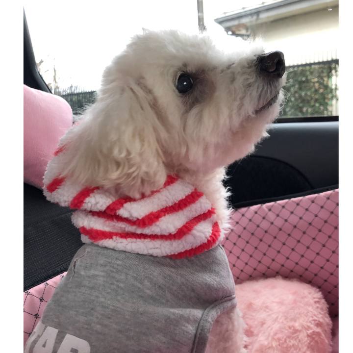 6d6aaaf7 1ba9 4e9e 81fe 247d70b6948d 1550325259734