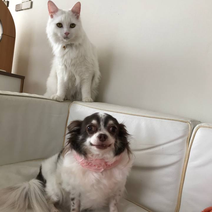 6d6aad84 3e9d 4c32 a92c ab726c548027 1531195585902