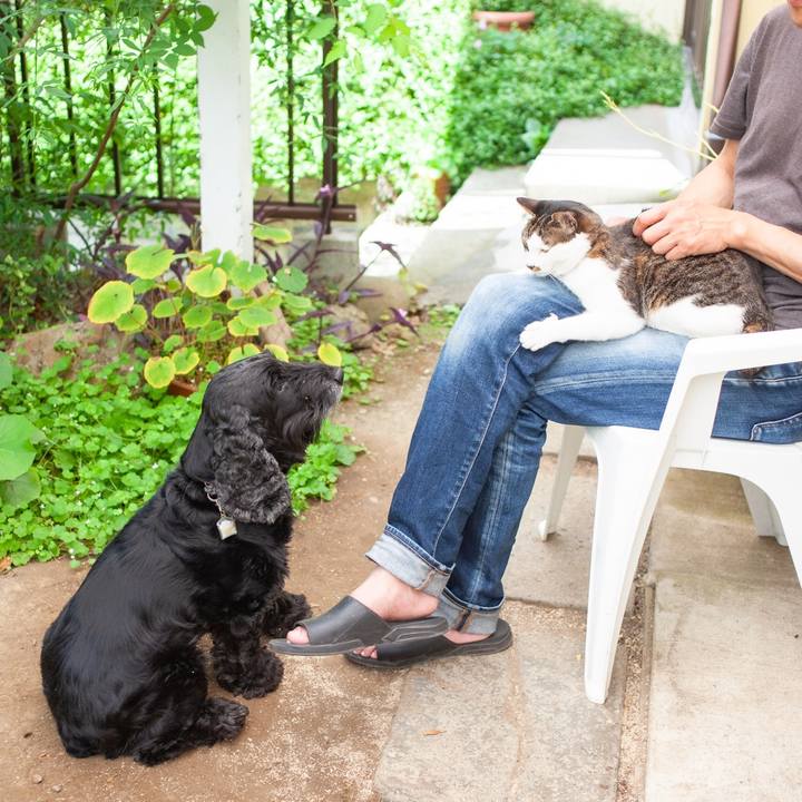 6d6abd69 42fb 44ef 83c6 2b46c4723537 1590890220115