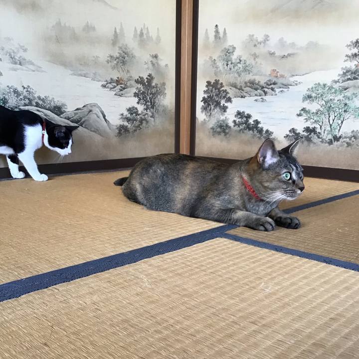 6d6ac307 b672 43c5 bc42 0e176fed3329 1628146001308