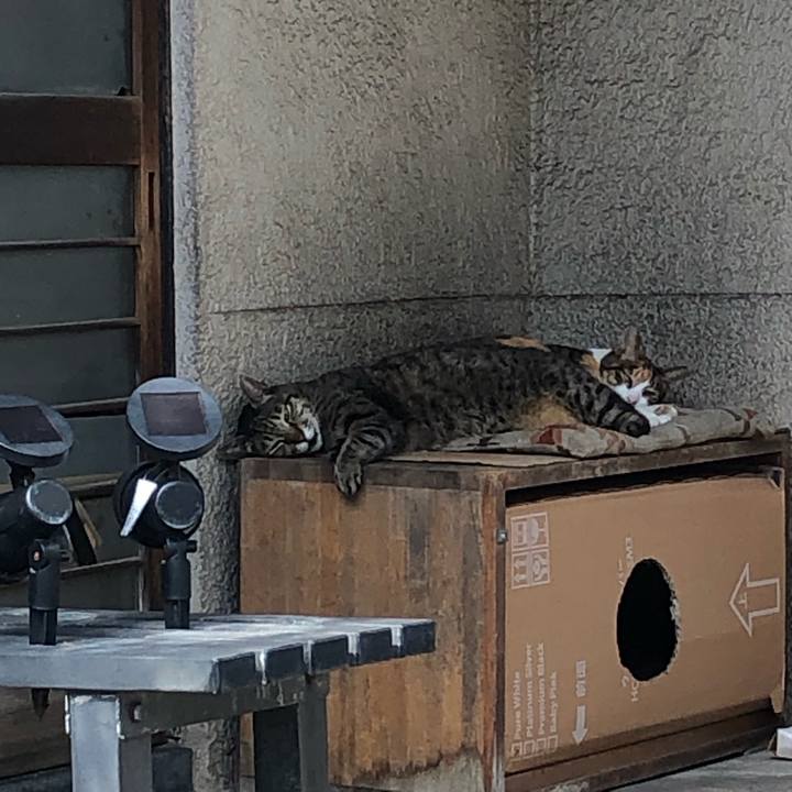 6d6afa59 7f14 488b ad11 35168599b023 1638012682246