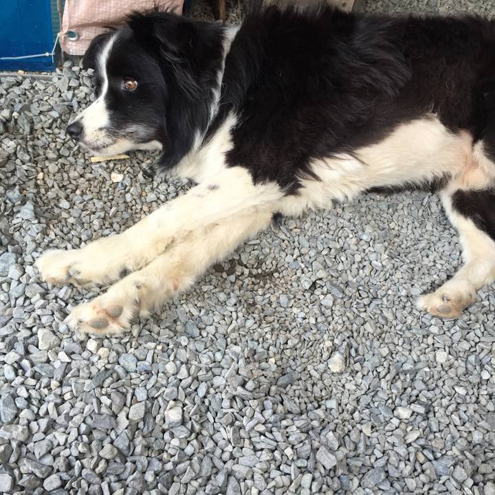 6d6b18c0 7b90 4fe8 be4a 31e9c89985c9 1533945793802