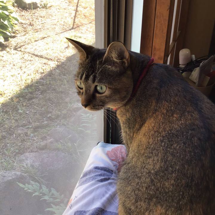 6d6b3a53 476b 4b89 830c e8bf852aa23d 1602386673255