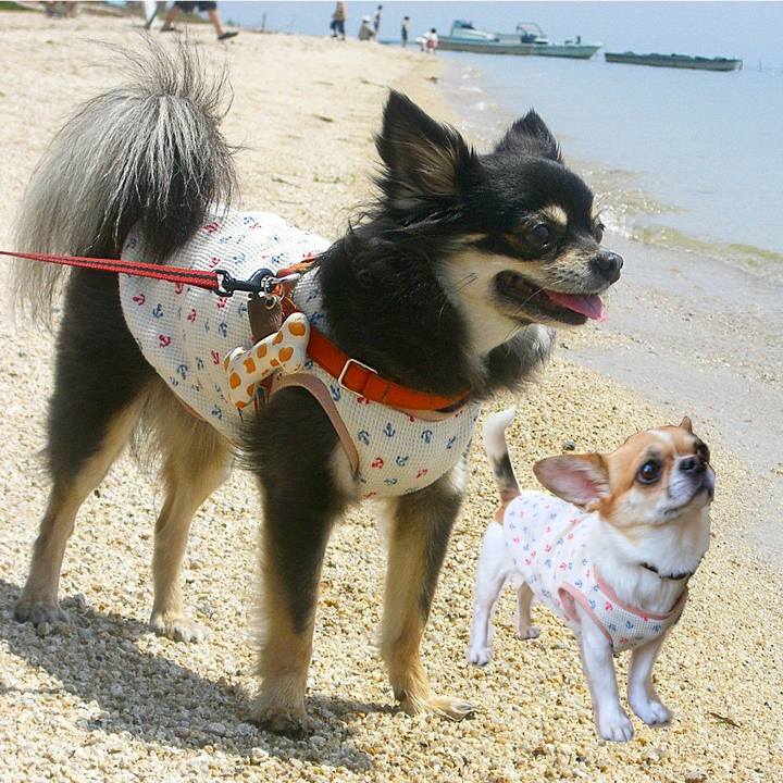 6d6b93d1 3609 47db 9061 7cb86678fe7b 1619056463674