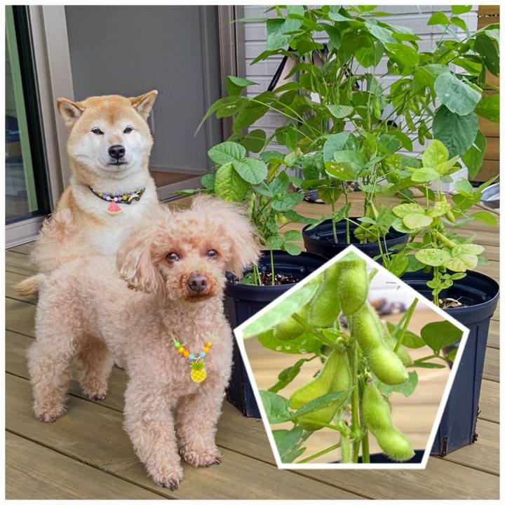 6d6bf75f 47c2 4a6c 93e3 b4986f6c712b 1626219502629