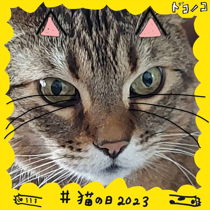 6d6c0e5e ec38 4f4e 888e d7c6eec8c123 1677049545919