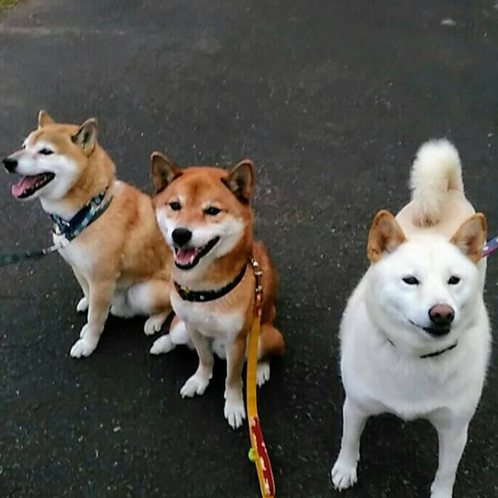 6d6c2033 5c69 405c 8f34 6a8aa9017672 1573720161276