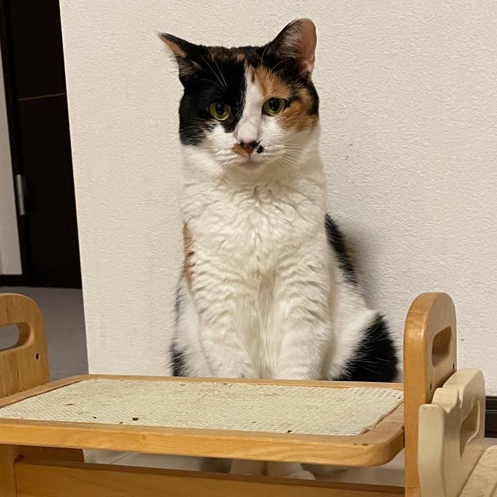 6d6c238b 4d58 47d4 9fc4 78975587193d 1691501104210