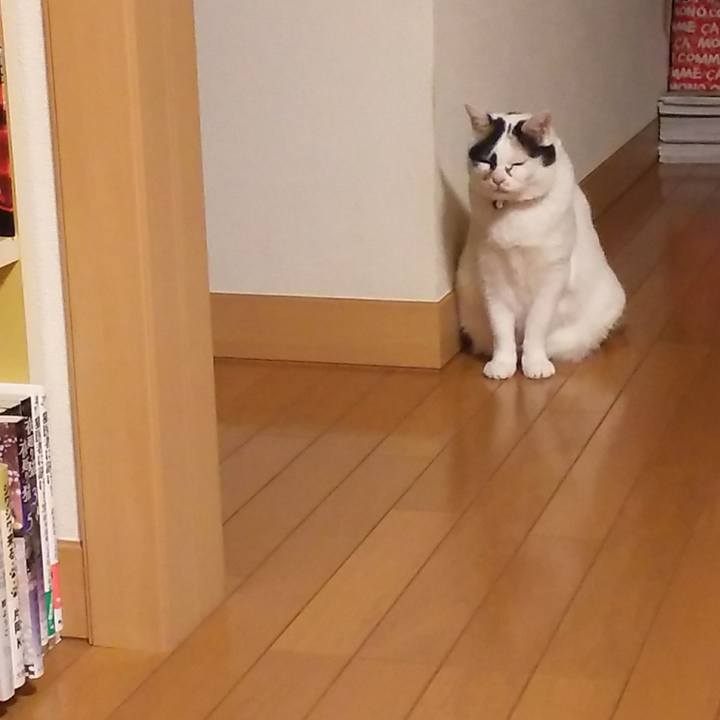 6d6c294a 2406 4ed7 a98b 3c77a3140f86 1578040549784