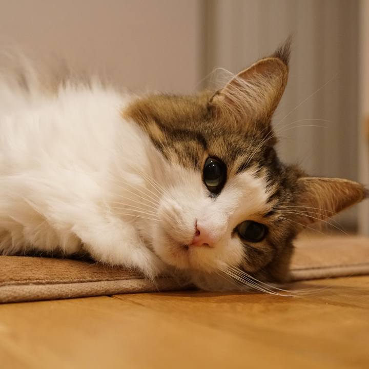 6d6c34fa 7b96 4067 acba bc5aabb196fd 1575982057763