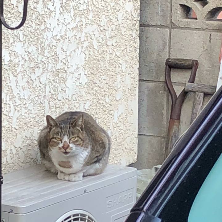 6d6c60a1 f57b 424f 8159 73b83df88a97 1518725677150