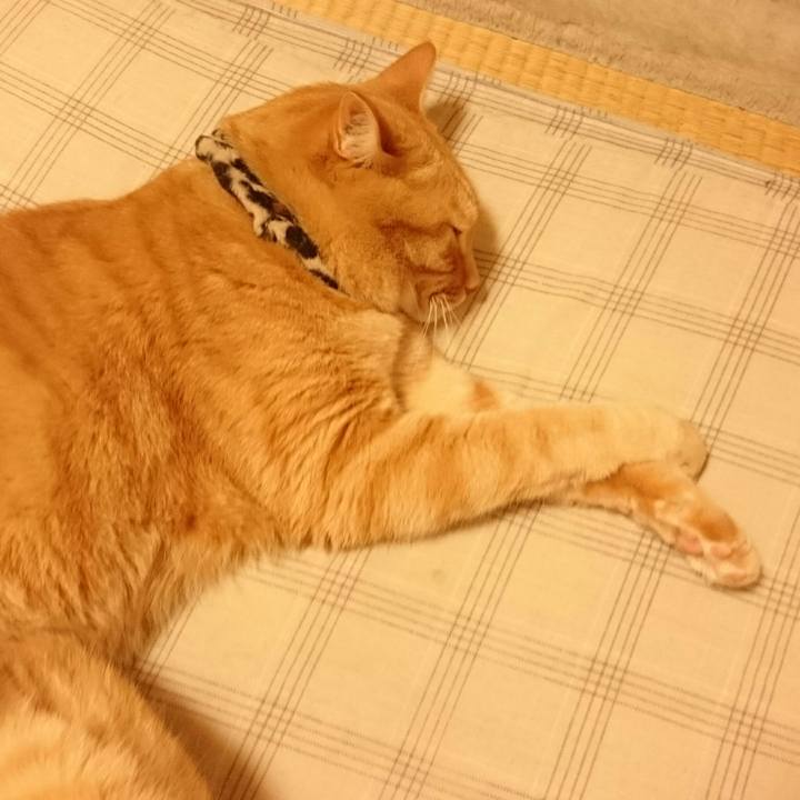 6d6c73ef 045e 49d7 b58d 902374a752fb 1535766247232