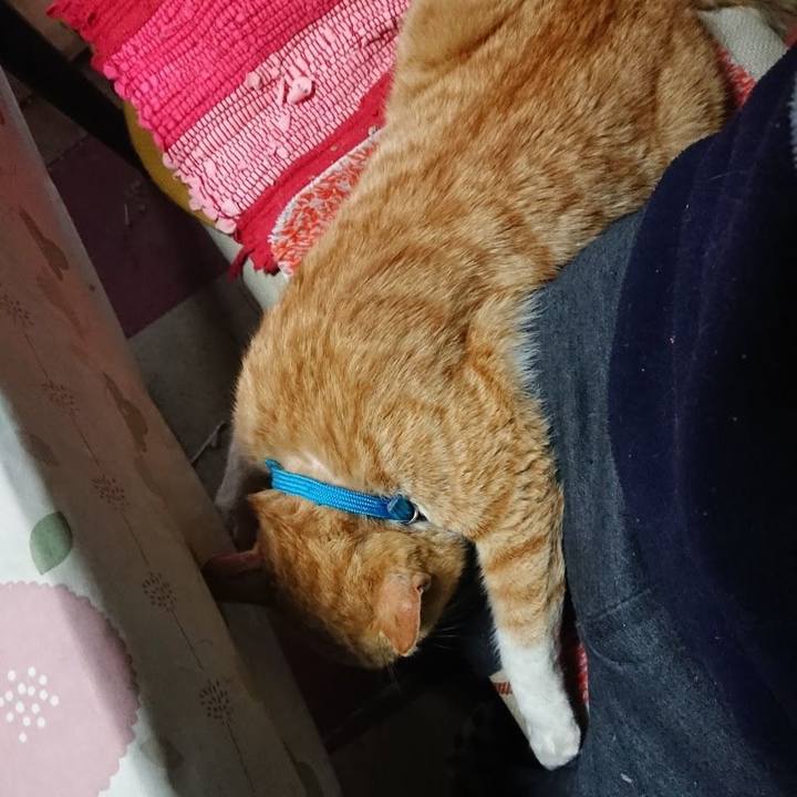 6d6c8f3b 1be9 4a8c 8fa9 73ca4b4117d8 1555446355880