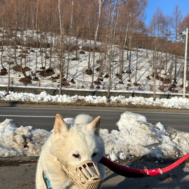 6d6cc736 90b2 4809 9022 15793c4496cf 1774565193714