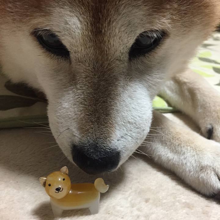 6d6cc7e9 e84f 4392 9688 9b592457a1f5 1525776064702