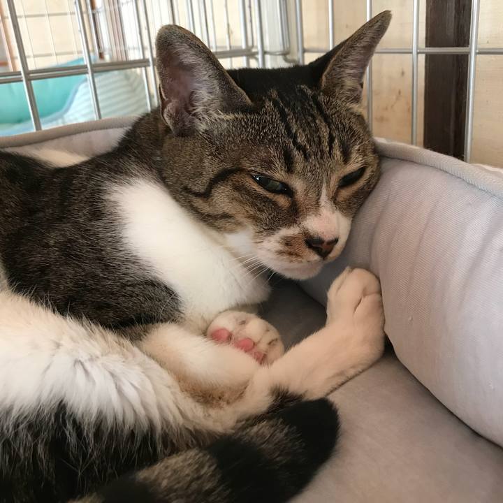 6d6ccc1f e5e5 4d2f 8d91 6e06f4a92f8d 1533947702415